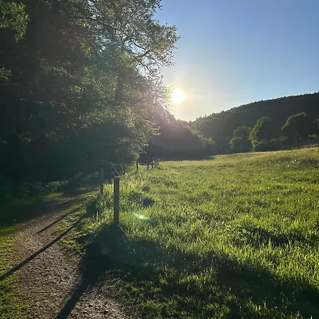 Wiese Feriehus